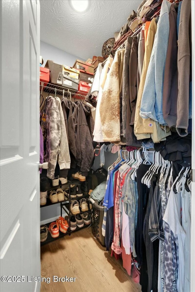 spacious closet with hardwood / wood-style flooring