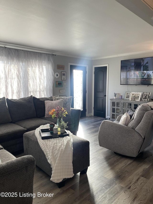 living room with crown molding and hardwood / wood-style floors