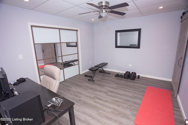 office area featuring ceiling fan, a barn door, light hardwood / wood-style flooring, and a drop ceiling