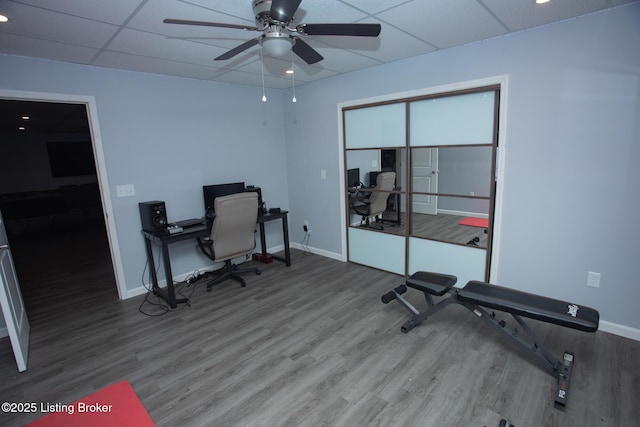 home office with ceiling fan, hardwood / wood-style floors, and a drop ceiling