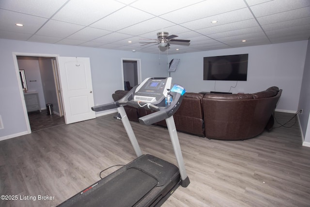 workout area with hardwood / wood-style floors, a paneled ceiling, and ceiling fan