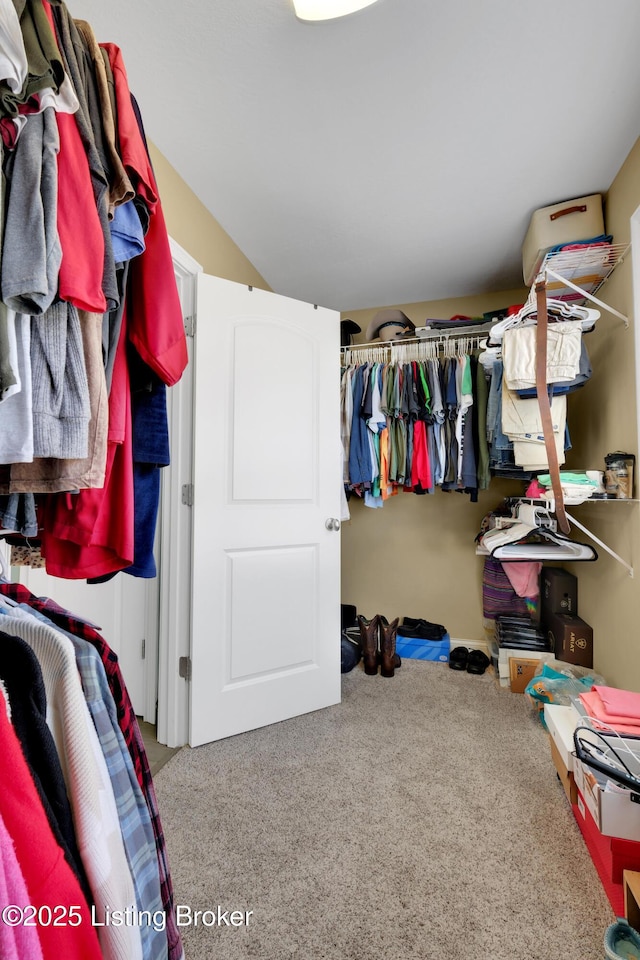 walk in closet featuring carpet