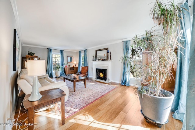 living room featuring hardwood / wood-style flooring and crown molding