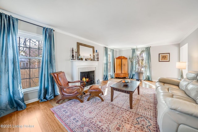 living room featuring ornamental molding and light wood-type flooring