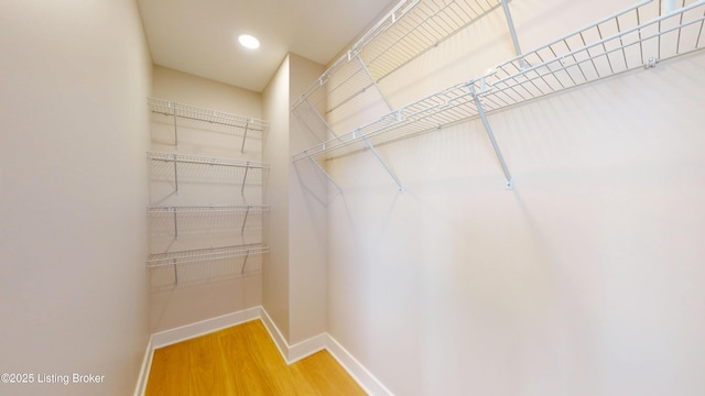 walk in closet featuring wood finished floors