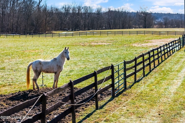 view of yard with a rural view