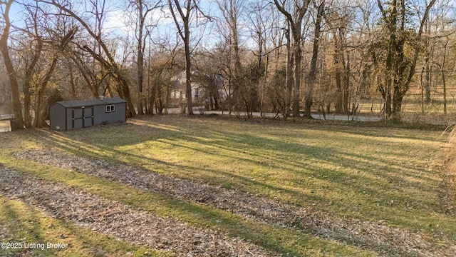 view of yard featuring a shed