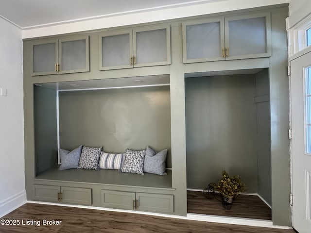 mudroom featuring dark hardwood / wood-style flooring