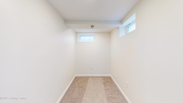 basement featuring light carpet