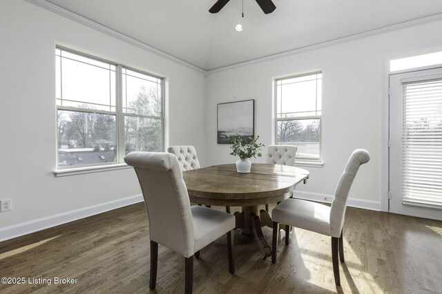 dining room featuring baseboards, plenty of natural light, wood finished floors, and crown molding