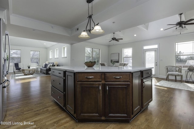 kitchen with open floor plan, a healthy amount of sunlight, light countertops, and dark wood-style flooring