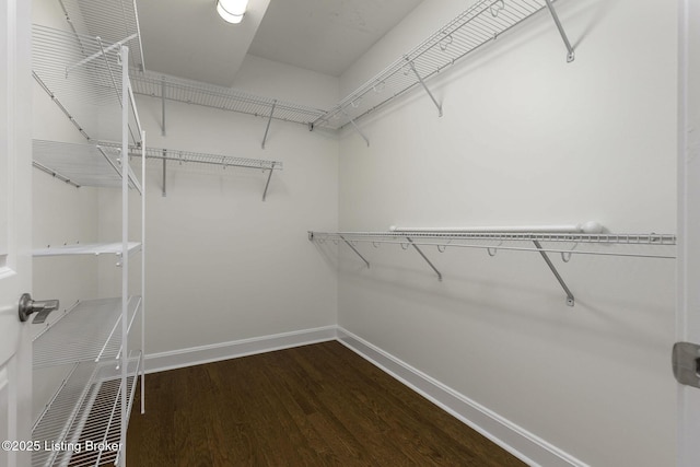 spacious closet featuring dark wood-style flooring