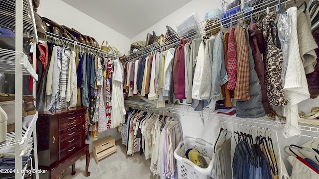 spacious closet with carpet