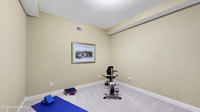 exercise area featuring carpet