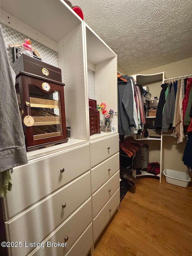 walk in closet featuring wood-type flooring