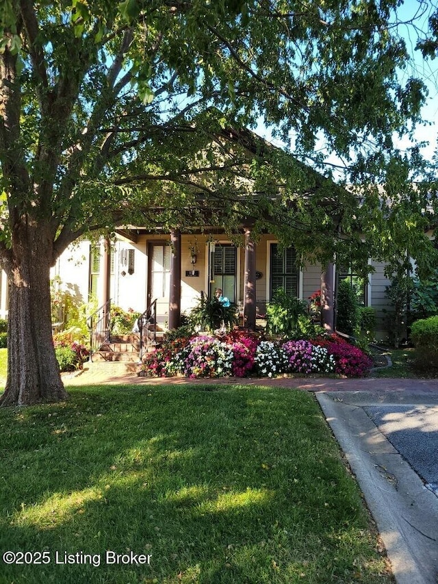 view of front facade with a front lawn