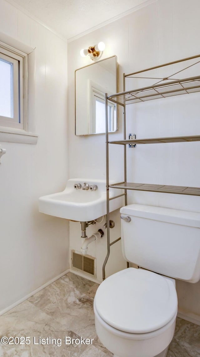 bathroom featuring plenty of natural light, sink, crown molding, and toilet