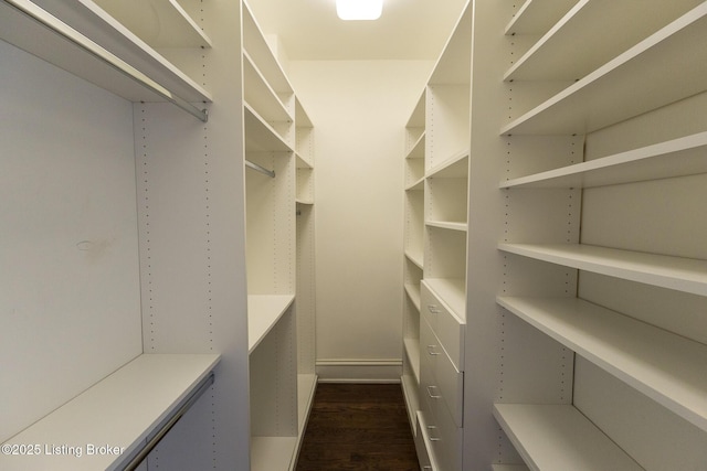 spacious closet featuring dark wood-type flooring