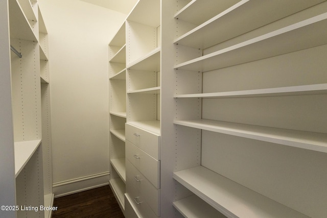 walk in closet with dark hardwood / wood-style flooring