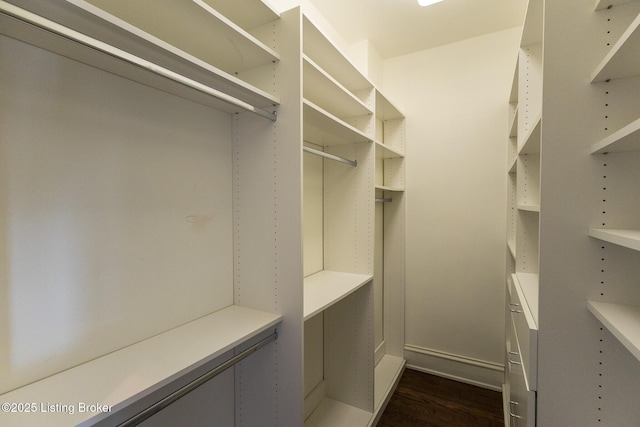 spacious closet featuring dark hardwood / wood-style flooring