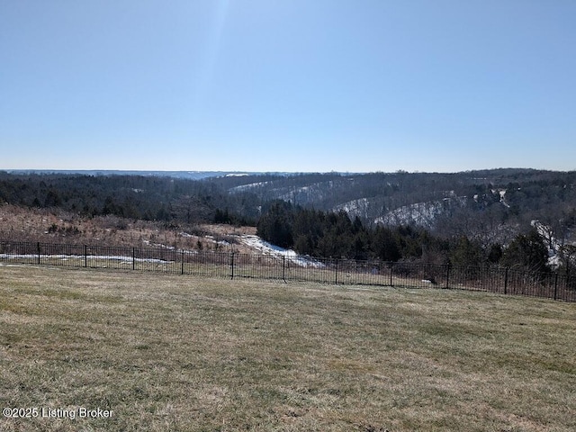 view of yard with a rural view