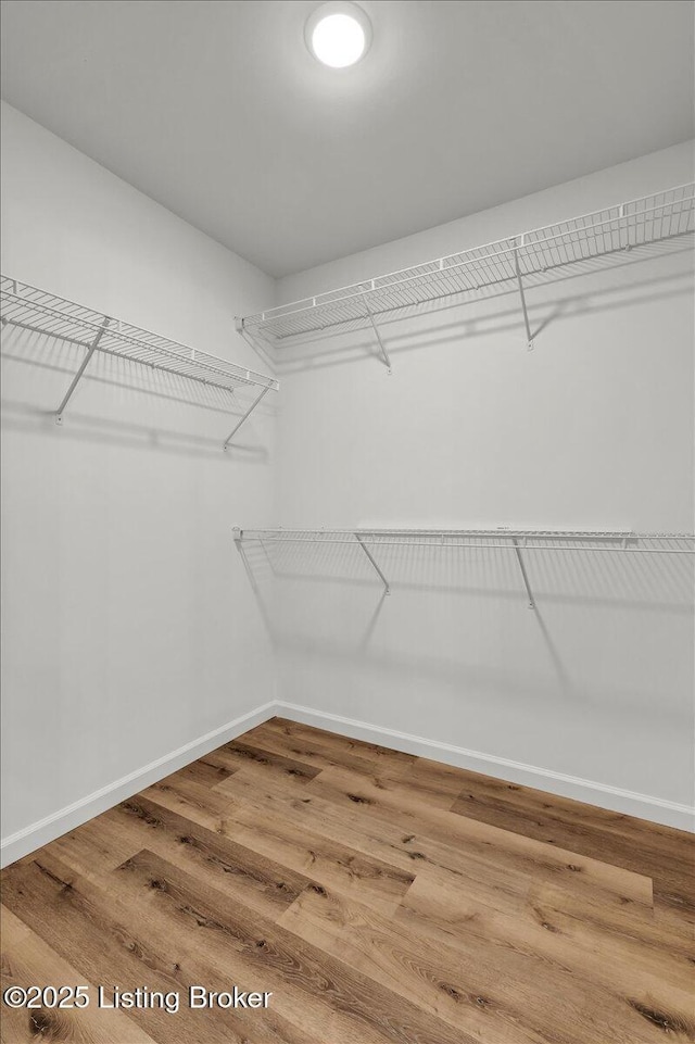 walk in closet with hardwood / wood-style flooring