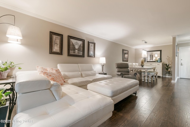 living room featuring ornamental molding and dark hardwood / wood-style flooring