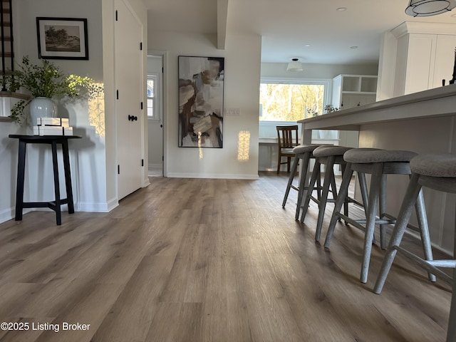 foyer entrance with hardwood / wood-style flooring