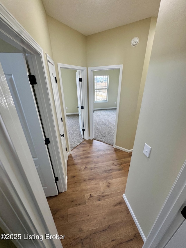 hallway featuring hardwood / wood-style flooring