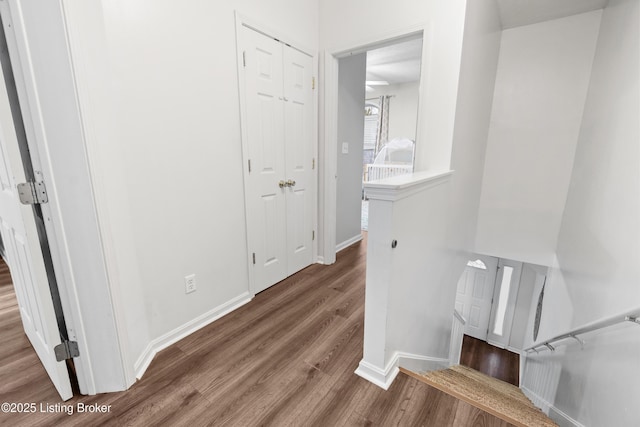 210 Hampton Place Ct, Louisville, KY 40118 - hall with hardwood / wood-style floors