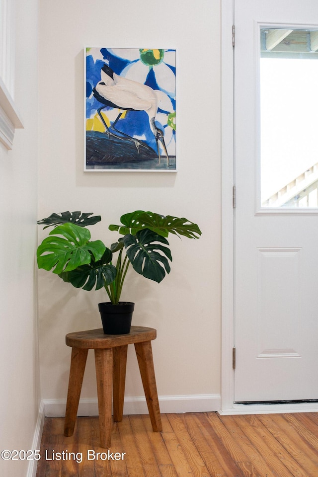 doorway to outside with hardwood / wood-style floors