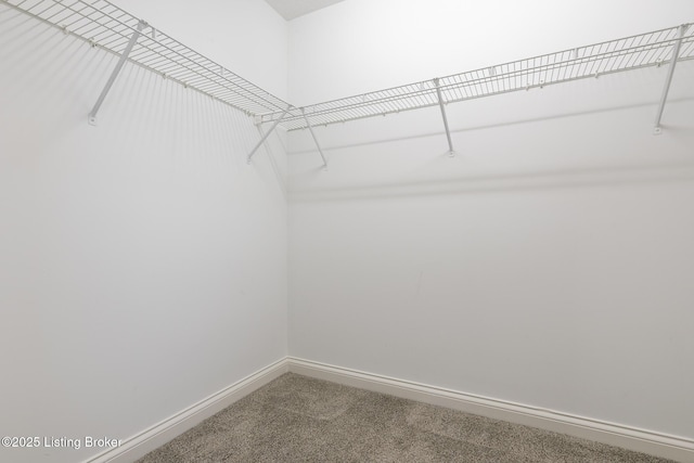 walk in closet with carpet