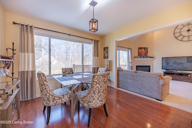 dining room with dark wood-type flooring