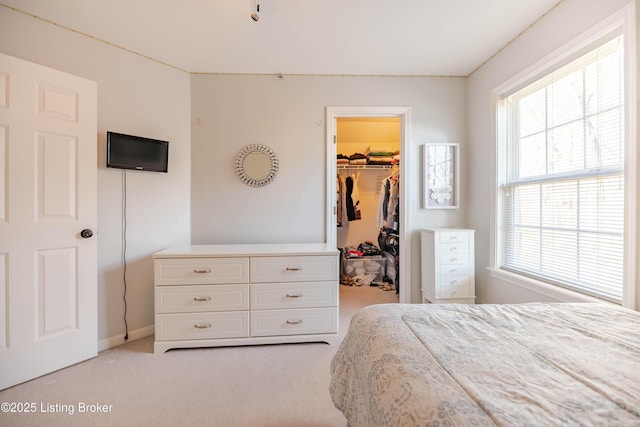 carpeted bedroom with a spacious closet and a closet