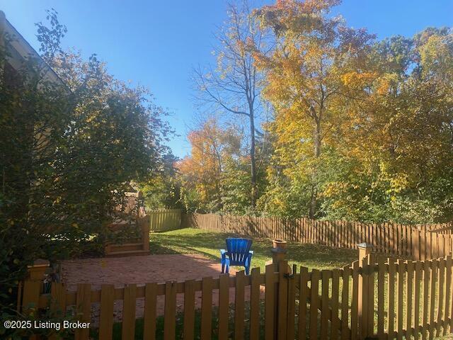 view of yard with a patio