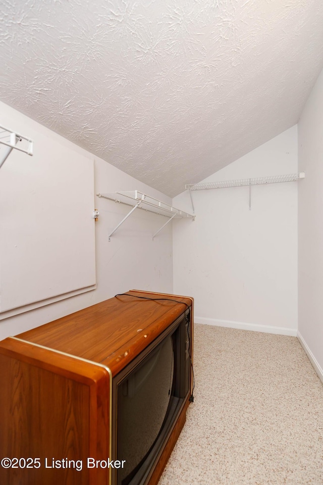 spacious closet with vaulted ceiling