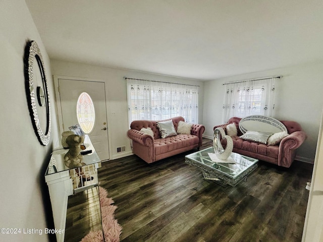 living room featuring dark wood-type flooring