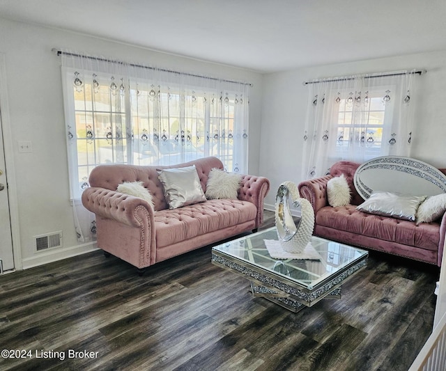 living room with dark hardwood / wood-style floors