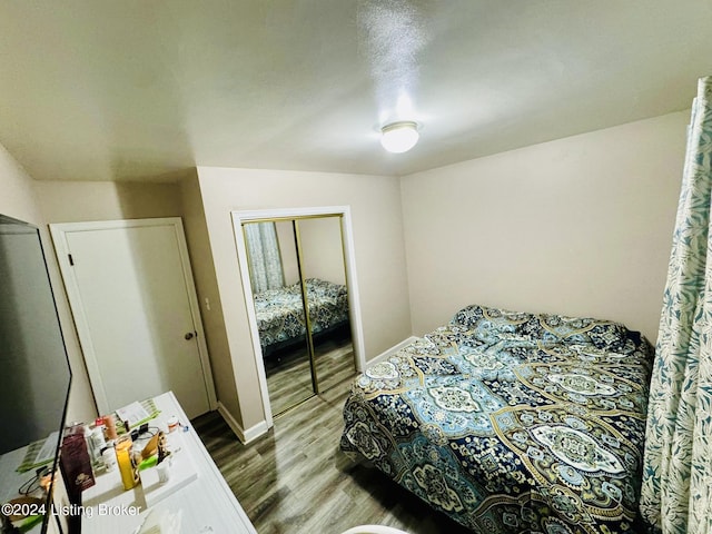 bedroom with wood-type flooring and a closet