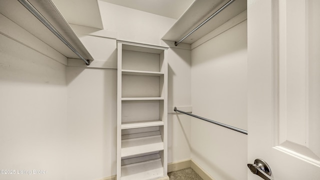 spacious closet featuring carpet floors