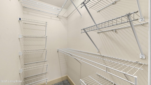 view of spacious closet