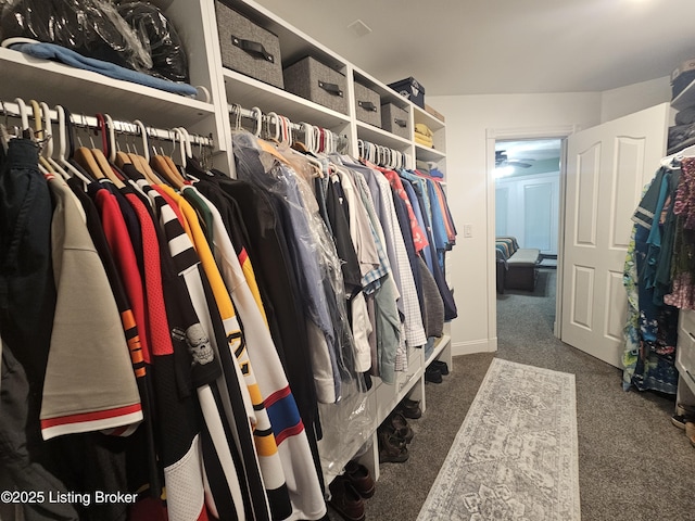 spacious closet featuring dark colored carpet