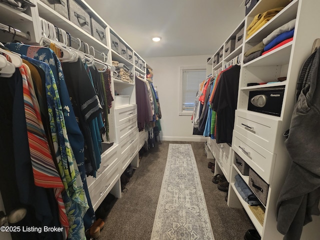 walk in closet with dark carpet