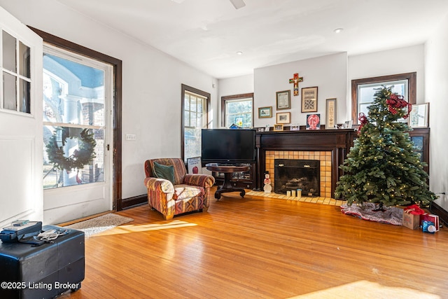 living room with a fireplace and wood-type flooring