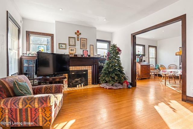 living room featuring plenty of natural light, light hardwood / wood-style floors, and a tile fireplace