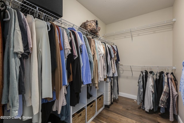 spacious closet featuring dark hardwood / wood-style floors