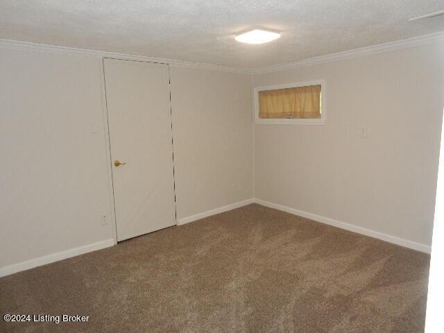 carpeted empty room featuring crown molding and a textured ceiling