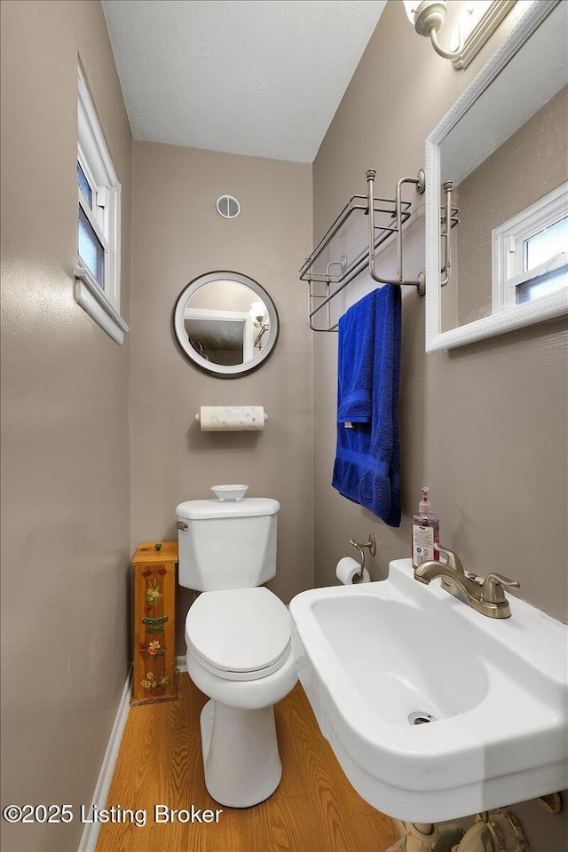 bathroom with sink, hardwood / wood-style flooring, and toilet