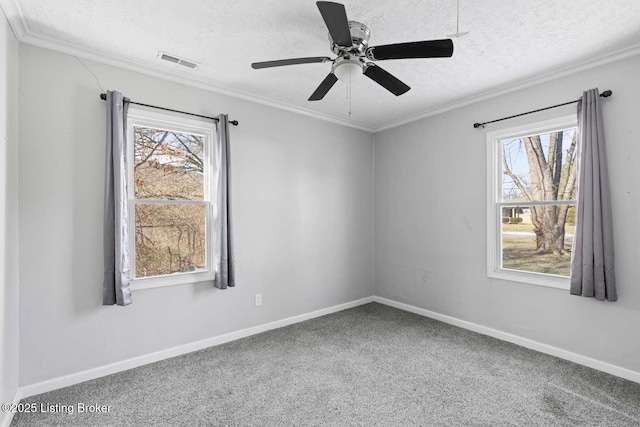 empty room with ornamental molding, carpet, and a textured ceiling