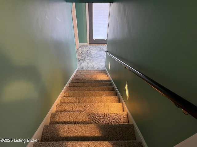 staircase with carpet floors